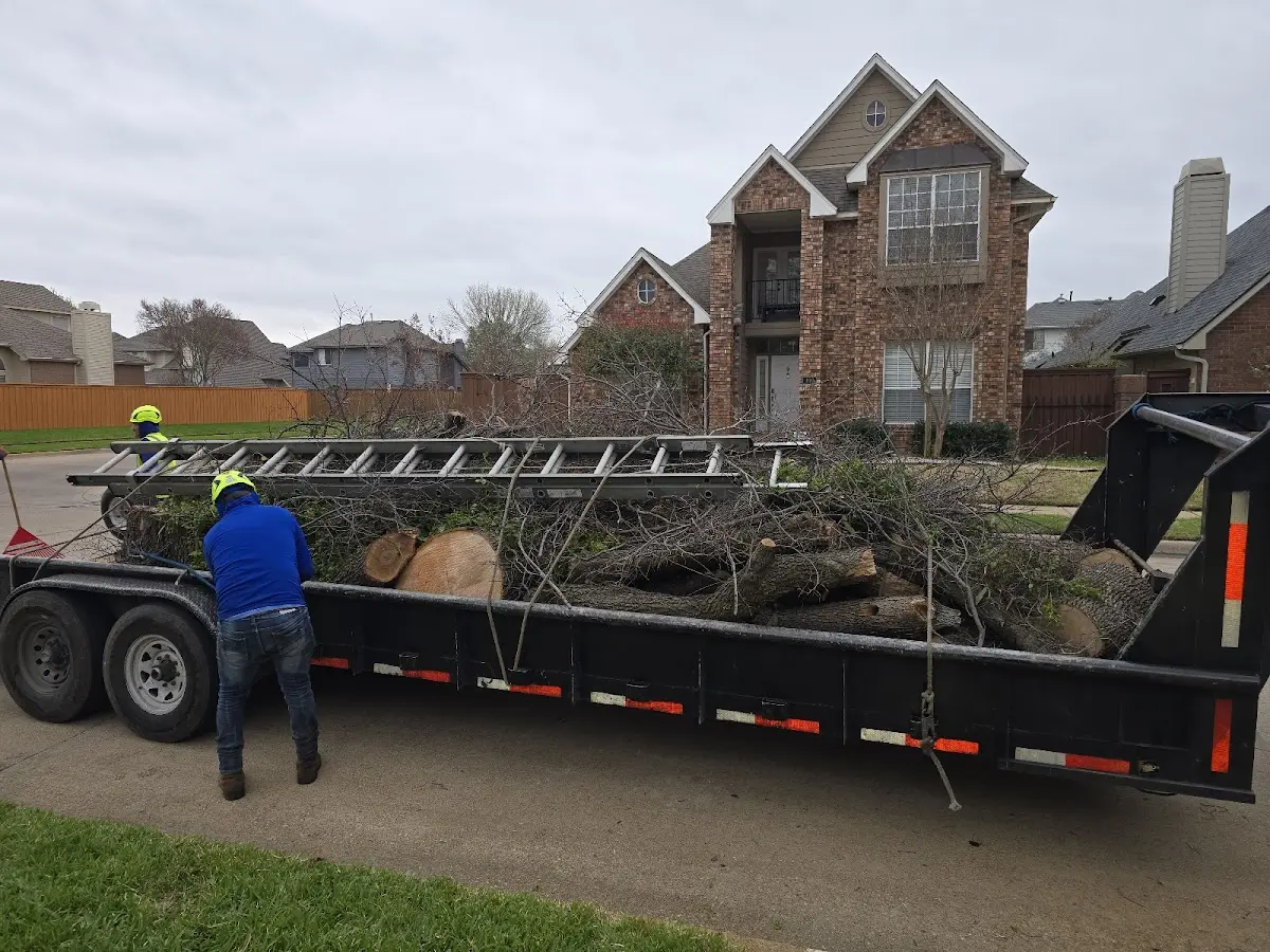 Expert Crown Reduction with proper safety equipment in O Fallon